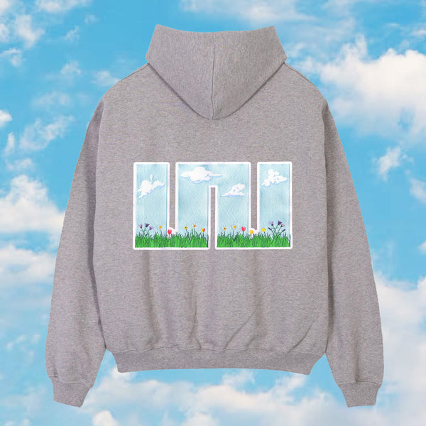 Big W grey Hoody