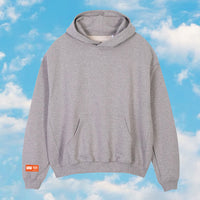 Big W grey Hoody